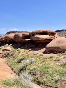 ebikes Bearclaw Poppy Trail