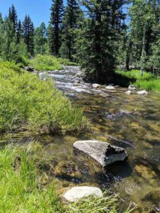 ebike rentals near Duck Creek City