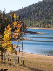 Duck Creek City ebike rental