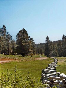 Duck Creek City ebike delivery