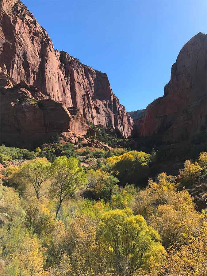 Ebikes available for rent near Kolob Canyon