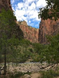 ebike rentals near Kolob Canyon