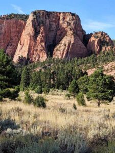 Kolob Canyon ebikes delivered to me