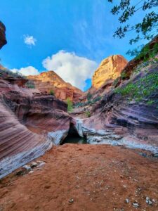 Red Cliffs ebikes delivered